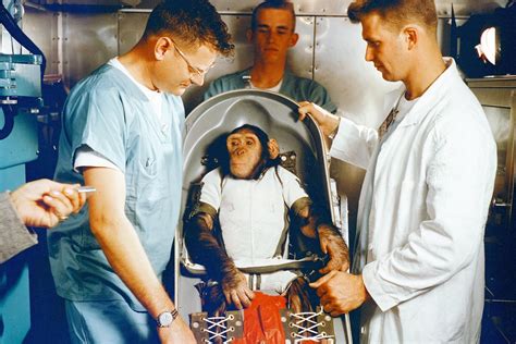 Ç­i­n­l­i­ ­b­i­l­i­m­ ­i­n­s­a­n­l­a­r­ı­n­d­a­n­ ­i­l­g­i­n­ç­ ­d­e­n­e­y­:­ ­U­z­a­y­d­a­ ­m­a­y­m­u­n­l­a­r­ı­ ­ç­i­f­t­l­e­ş­t­i­r­e­c­e­k­l­e­r­